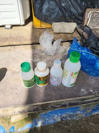 김성열님의 고추 · 영농일지 작성글 사진