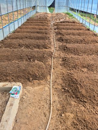 호랑이별님의 기타작물 · 영농일지 작성글 사진