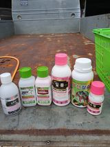 팜모닝 배추·영농일지 게시글 이미지