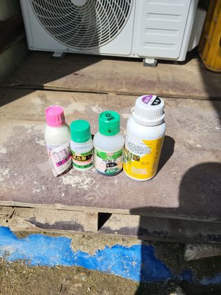 김성열님의 배추 · 영농일지 작성글 사진