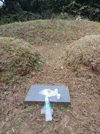 최영묵님의 감 · 영농일지 작성글 사진