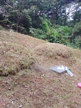 최영묵님의 감 · 영농일지 작성글 사진