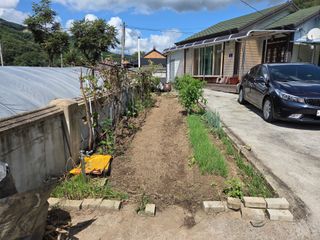 백형석님의 고추 · 영농일지 작성글 사진