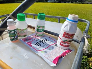 이태창님의 배추 · 영농일지 작성글 사진