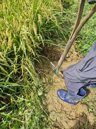 윤길정님의 기타작물 · 영농일지 작성글 사진