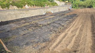 김영한님의 파 · 영농일지 작성글 사진