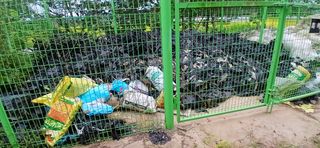 이형근님의 참깨 · 영농일지 작성글 사진