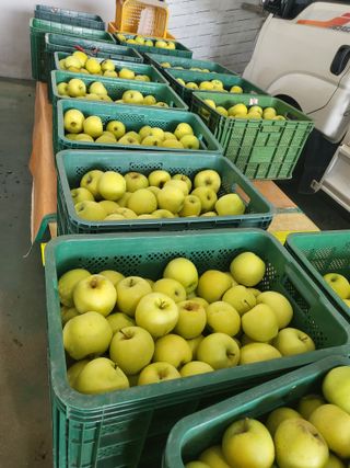 혜기농원(놀이터)님의 사과 · 영농일지 작성글 사진