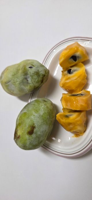 신동희님의 기타작물 · 영농일지 작성글 사진