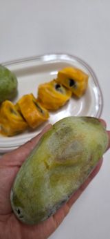 팜모닝 기타작물·영농일지 게시글 이미지