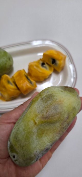 신동희님의 기타작물 · 영농일지 작성글 사진