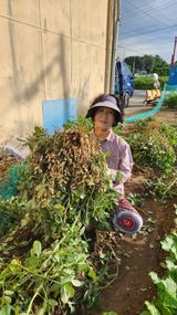 팜모닝 기타작물·영농일지 게시글 이미지