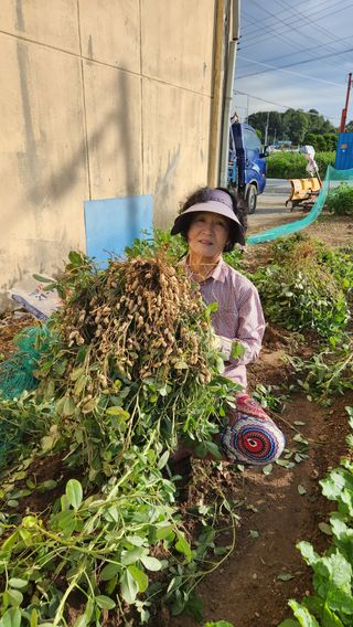 박종묵542974님의 기타작물 · 영농일지 작성글 사진