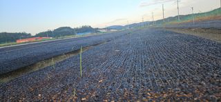 구춘봉님의 마늘 · 영농일지 작성글 사진