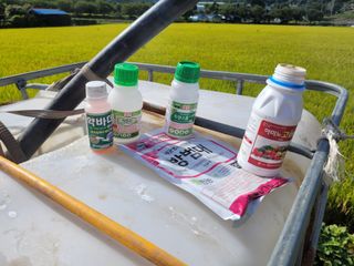 이태창님의 배추 · 영농일지 작성글 사진