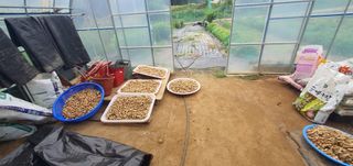 박상중님의 기타작물 · 영농일지 작성글 사진