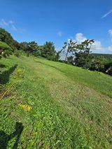 팜모닝 기타작물·영농일지 게시글 이미지