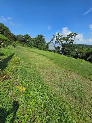 초이스등대님의 기타작물 · 영농일지 작성글 사진