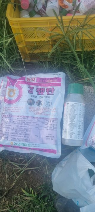 김은희님의 사과 · 영농일지 작성글 사진