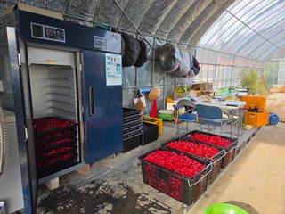 장두학님의 기타작물 · 영농일지 작성글 사진