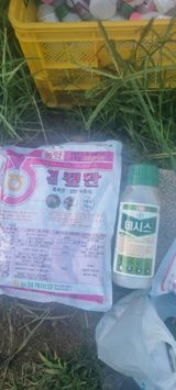 팜모닝 사과·영농일지 게시글 이미지