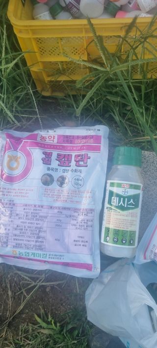 김은희님의 사과 · 영농일지 작성글 사진