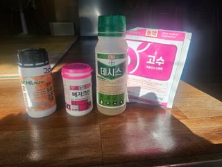 고영미님의 기타작물 · 영농일지 작성글 사진