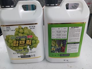 혁이네농원님의 포도 · 영농일지 작성글 사진