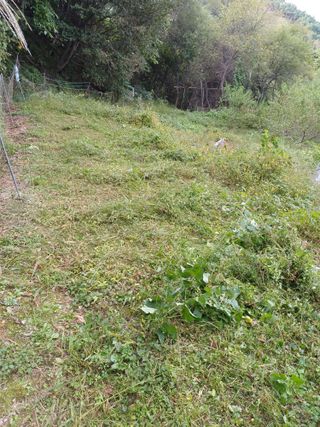 블루베리8034님의 기타작물 · 영농일지 작성글 사진