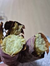 팜모닝 기타작물·영농일지 게시글 이미지