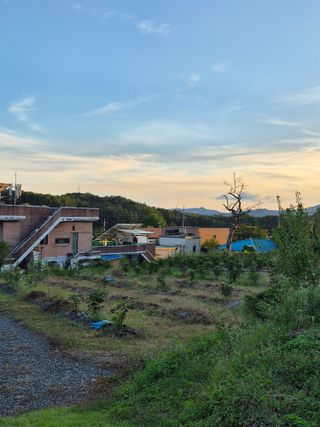 나오리농장님의 기타작물 · 영농일지 작성글 사진