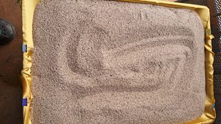 bpjh9173님의 참깨 · 영농일지 작성글 사진