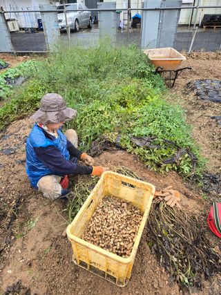 뚜벅이님의 기타작물 · 영농일지 작성글 사진