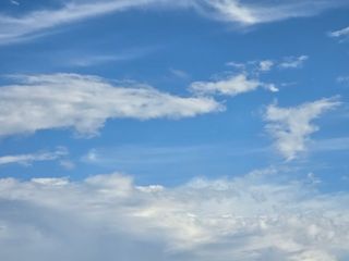 낙엽교목류22209님의 마늘 · 영농일지 작성글 사진