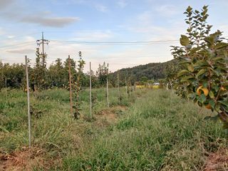 제키님의 기타작물 · 영농일지 작성글 사진