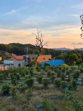 나오리농장님의 기타작물 · 영농일지 작성글 사진