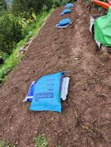 팜모닝 기타작물·영농일지 게시글 이미지