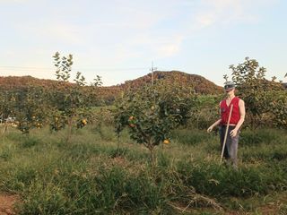 제키님의 기타작물 · 영농일지 작성글 사진