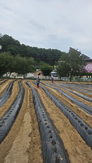 김남근님의 기타작물 · 영농일지 작성글 사진