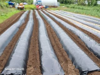 이천산수유3대농부님의 파 · 영농일지 작성글 사진