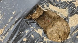 김남근님의 기타작물 · 영농일지 작성글 사진