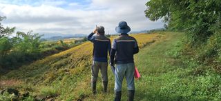 이복길님의 벼 · 영농일지 작성글 사진