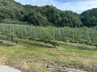 임영택님의 사과 · 영농일지 작성글 사진