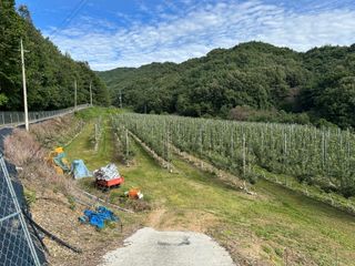 임영택님의 사과 · 영농일지 작성글 사진