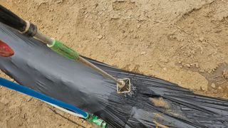 김남근님의 기타작물 · 영농일지 작성글 사진