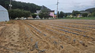 김남근님의 기타작물 · 영농일지 작성글 사진