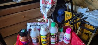 골드래곤님의 콩 · 영농일지 작성글 사진