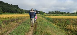 이복길님의 벼 · 영농일지 작성글 사진