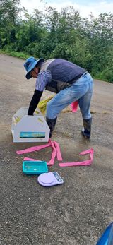 팜모닝 벼·영농일지 게시글 이미지