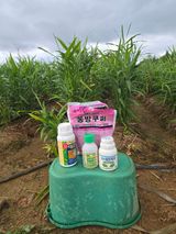 팜모닝 기타작물·영농일지 게시글 이미지